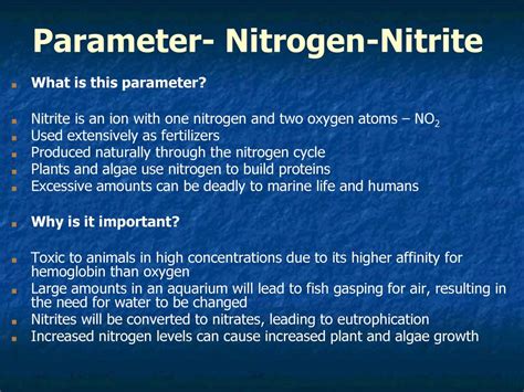 ¿Qué es la Nitrita y cómo se utiliza en la producción de fertilizantes y productos de limpieza?